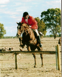 Bill on Eurella Volant whipping for Hume Hunt